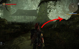 Witcher2_2013-02-24_21-21-10-89-1